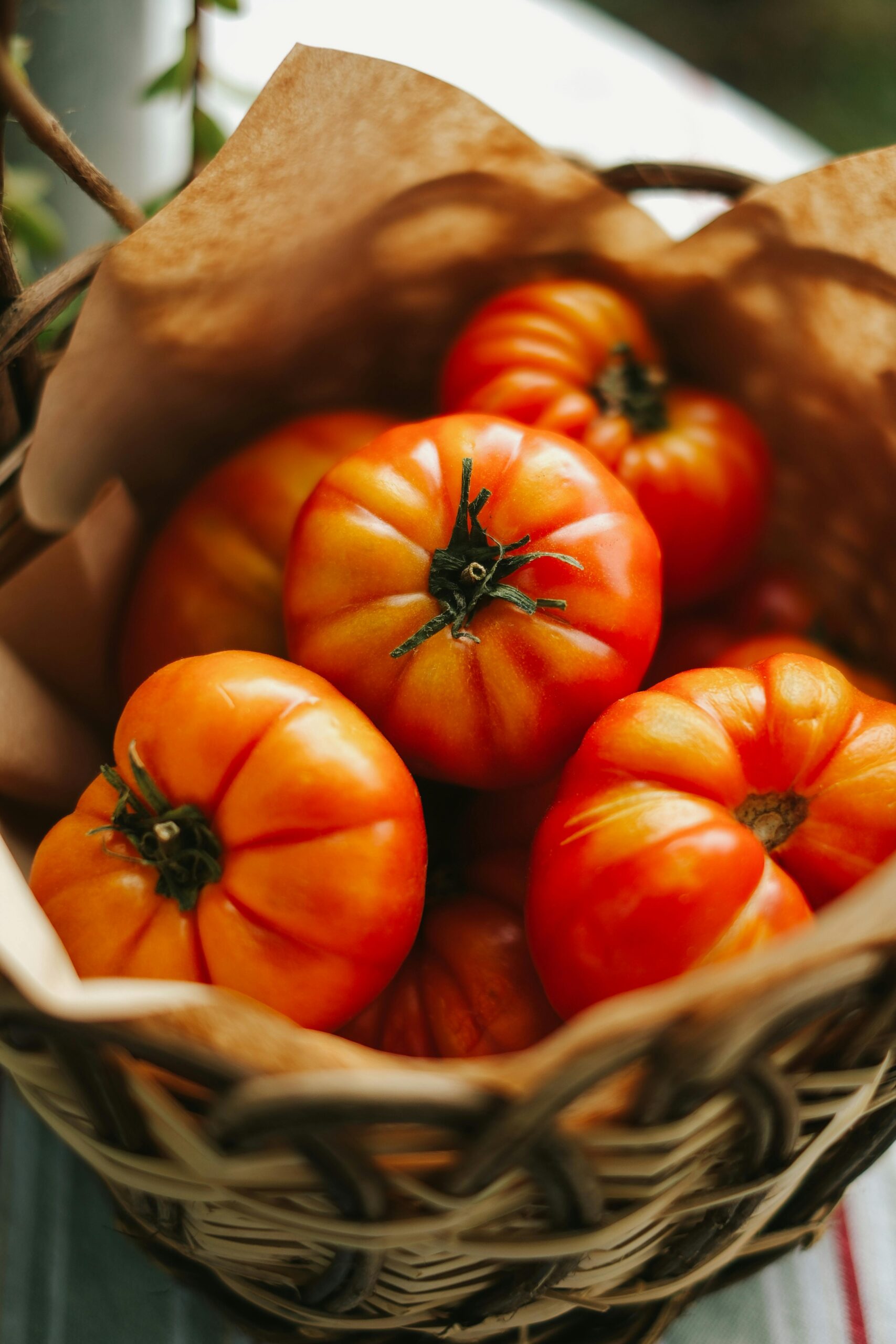 pexels-gulsahaydgn-17674123